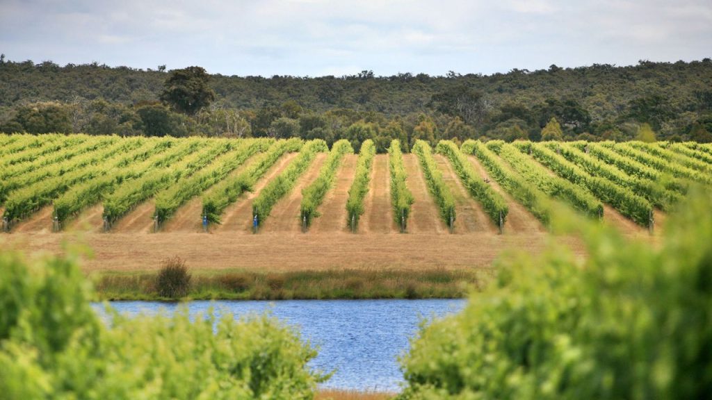 Este país tiene los mejores vinos del mundo para 2023