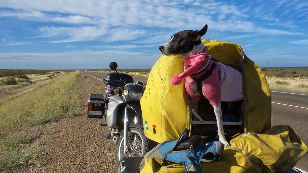 La pareja que da la vuelta al mundo en moto con su manada